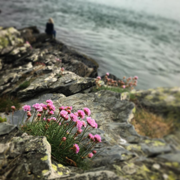 Coastal Landscape Design